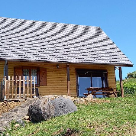 Chalet Sancy Saint-Genès-Champespe Zewnętrze zdjęcie